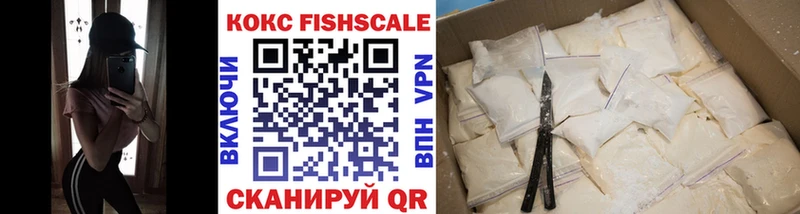 сколько стоит  Ершов  COCAIN Fish Scale 