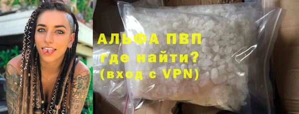 PSILOCYBIN Дмитриев
