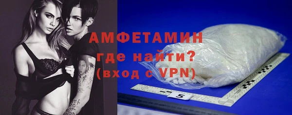 шишки Болотное