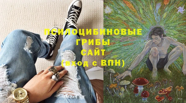 каннабис Дмитров